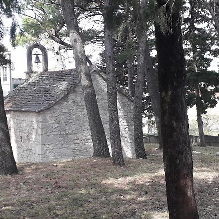 Apartment Perovic Baška Voda Dış mekan fotoğraf