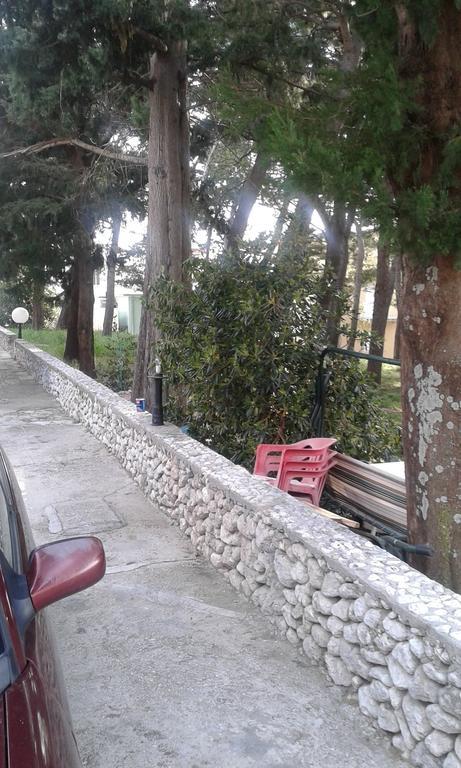 Apartment Perovic Baška Voda Oda fotoğraf